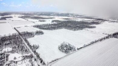 DJI_0431