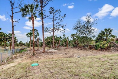 CLEARED LOT!