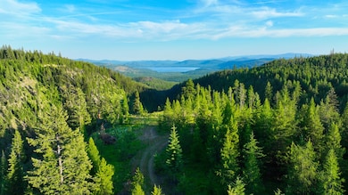 Nhn Two Creeks, Marion, MT 59925 - photo 3