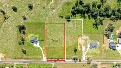 TRACT 8 Fm 3358 unit OAK CREEK HILLS, Gilmer, TX 75645 - photo 5