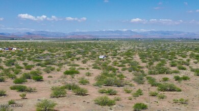 DJI_0585.JPG
