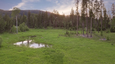 30632 Carney Creek Rd, Big Fork, MT 59911 - photo 3