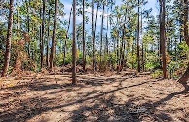 35220 La Hwy 441 None, Holden, LA 70744 - photo 3