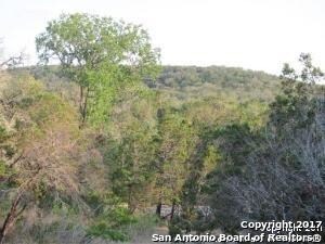 17134 Clovis, Helotes, TX 78023 - photo 2