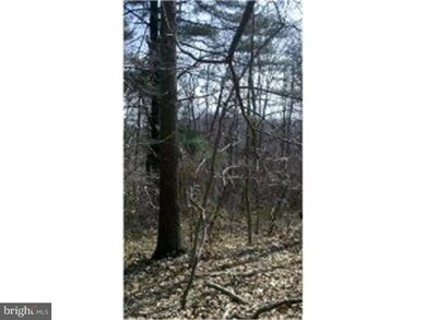 L-655 Fawn Dr, Reading, PA 19607 - photo 4