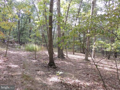 0 Hunting Ridge Rd unit VAFV153122, Winchester, VA 22603 - photo 7