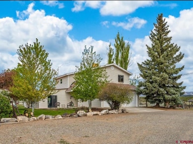 26451 Cedar Mesa Rd, Cedaredge, CO 81413 - photo 3