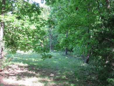 0 L 11 Spice Rd, North Galloway Township, MO 65721 - photo 4