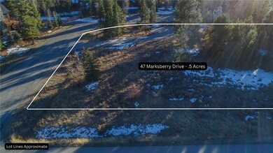 47 Marksberry Way, Breckenridge, CO 80424 - photo 5
