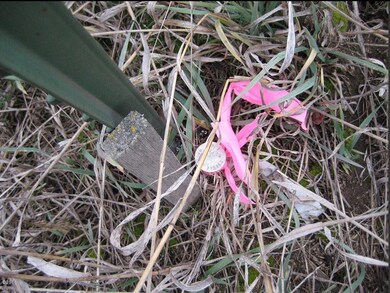 4561 Rathbun Ln, Stevensville, MT 59870 - photo 4