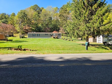 3335 Old Route 100 Rd, Pulaski, VA 24301 - photo 3