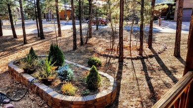 Front Yard with Raised Garden Area