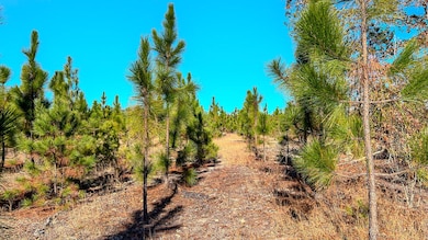 Mt Pisgah G South Carolina-14