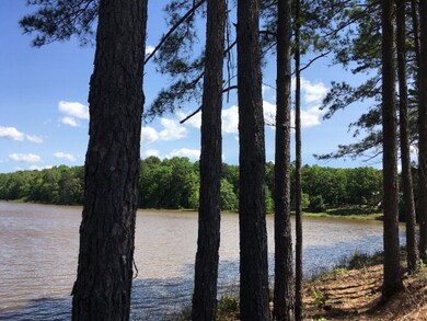 133 County Road 423, Oxford, MS 38655 - photo 6