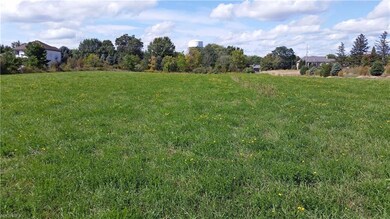 View from back Northeast corner to tree lined lot 