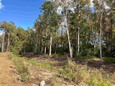 13.39 Acres Harbor Aly, Myrtle Beach, SC 29577 - photo 6