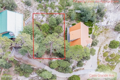 12632 N Casa Grande Ave unit 18, Mt. Lemmon, AZ 85619 - photo 2