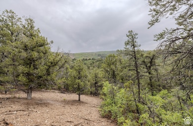 292 U S Highway 89 unit 12, Fairview, UT 84629 - photo 2