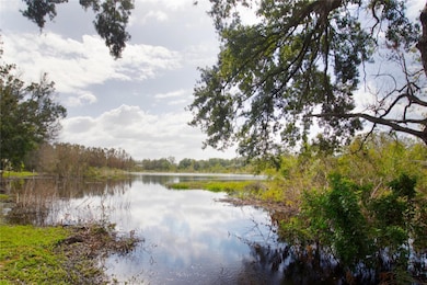 Rear Pond