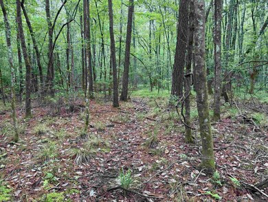 0 Louisiana 438, Franklinton, LA 70438 - photo 5