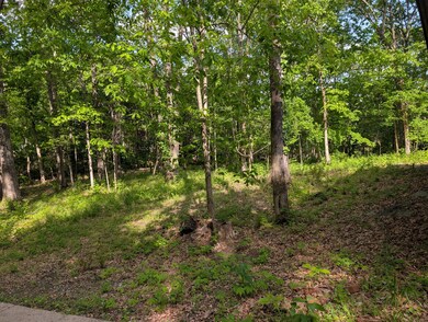 0 Bluff Rd unit RTC2823780, Brentwood, TN 37027 - photo 4