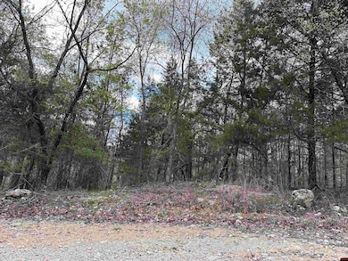 580-00005-016 Dovewood Ln, Flippin, AR 72634 - photo 3