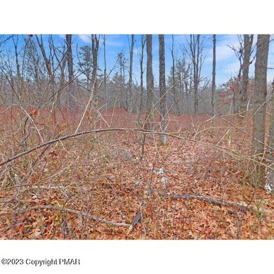 0 Chapman St, Jim Thorpe, PA 18229 - photo 5