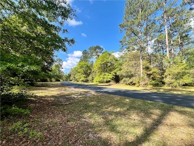 LOT 504 N Marsh Hen Rd NE, Townsend, GA 31331 - photo 6