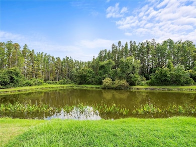 30638 Nickerson Loop, Wesley Chapel, FL 33543 - photo 3