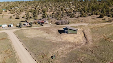 147 Apple Ct, Pagosa Springs, CO 81147 - photo 7