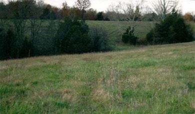 620 Parsons Ln, Harrodsburg, KY 40330 - photo 2