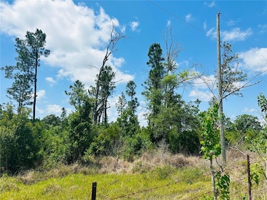 View of nature