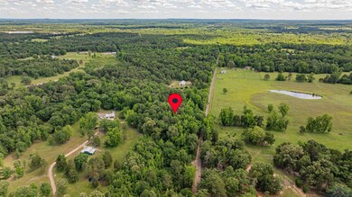 TBD Woodchuck Rd, Pittsburg, TX 75686 - photo 5