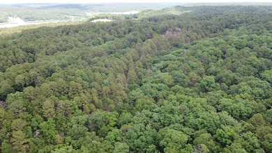 46593 S 590 Rd, Jay, OK 74346 - photo 7