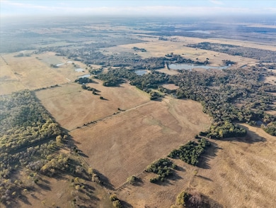 0000 SW County Road 4230, Purdon, TX 76679 - photo 3