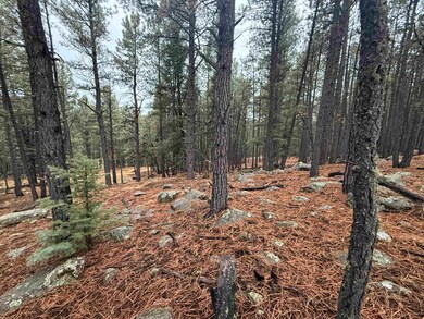 Lot 80 San Juan Dr, Angel Fire, NM 87710 - photo 2