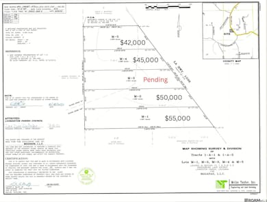 TBD M-2 Louisiana 1036, Holden, LA 70744 - photo 3