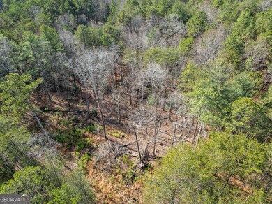 1361 Soque Ridge Cir, Demorest, GA 30535 - photo 6