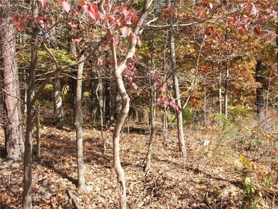 11 White Parish Ln, Bella Vista, AR 72714 - photo 3