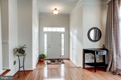 42999 Marburg Terrace, Broadlands, VA 20148 - photo 3