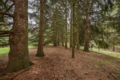 8905 Dexter-Chelsea Rd, Dexter, MI 48130 - photo 6