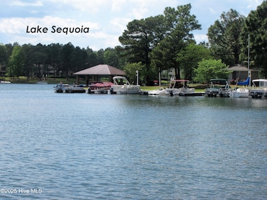 233 Devonshire Ave W, Seven Lakes, NC 27376 - photo 2