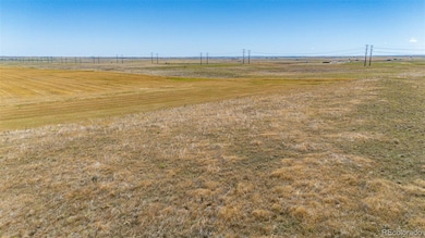 4880 Kiowa-Bennett Rd, Bennett, CO 80102 - photo 2