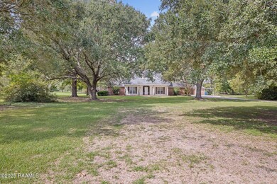 2-web-or-mls-3205 N University Ave-2