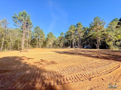 12068 Farm To Market 130, Hughes Springs, TX 75656 - photo 2