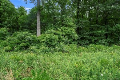 25/26 Sutton Spring Rd unit 25/26, York, SC 29745 - photo 6