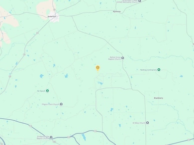 Coushatta Dr, Navasota, TX 77868 - photo 3