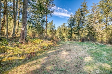 212 Eagle Lake Ln, Orcas Island, WA 98279 - photo 6