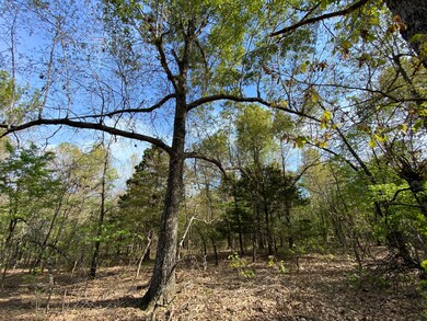 IMG-2530