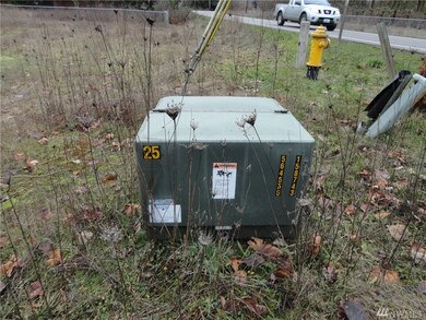 20508 182nd St E, Orting, WA 98360 - photo 5